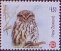 Little Owl