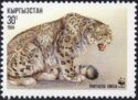 Snow Leopard (Panthera uncia) Sitting