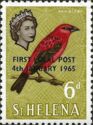 Red Bird (Foudia madagascariensis) - overprinted