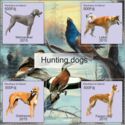 Hunting Dogs