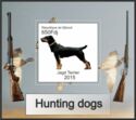 Hunting Terrier