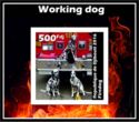 Working Dog - Fire Dog
