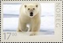 Polar Bear (Ursus maritimus)