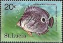 Four-eyed Butterflyfish (Chaetodon capistratus)