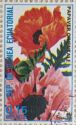 Oriental Poppy (Papaver orientale)