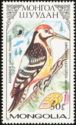 White-backed Woodpecker (Dendrocopos leucotos owstoni)