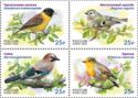 Songbirds of Russia