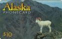 Alaska Wildlife Series - Alaska Dall Ram