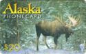 Alaska Wildlife Series - Alaska Bull Moose