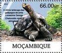 Lonesome George