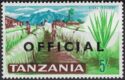 Sisal Plantation - Overprinted