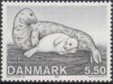 Gray Seal (Halichoerus grypus)