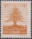 Cedar of Lebanon