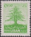 Cedar of Lebanon