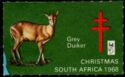 Christmas 1968 - Grey Duiker