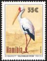 Yellow-billed Stork (Mycteria ibis)