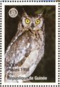 Great Horned Owl (Bubo virginianus)