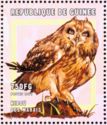 Short-eared Owl (Asio flammeus)