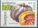 Pumpkin (Cucurbita pepo)