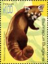 Himalayan Red Panda (Ailurus fulgens)