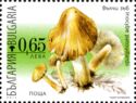 Poisonous Mushrooms - Inocybe patouillardii