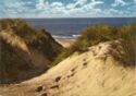 Nordseeinsel | Ferieninsel | Dünendurchblick