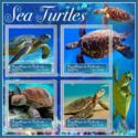 Fauna Sea turtles