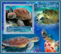 Fauna Sea turtles