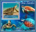 Fauna Sea turtles