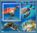 Fauna Sea turtles