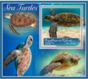 Fauna Sea turtles