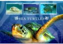 Sea Turtles