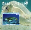 Green Sea turtle