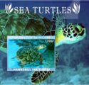 Hawsbill Sea turtle