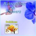 Butterflies and Flowers