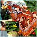 Butterflies and Flowers