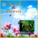 Butterflies and Flowers
