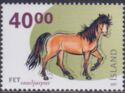 Iceland Horse (Equus ferus caballus)