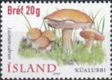 Kualubbi (Leccinum scabrum)