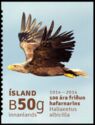 White-tailed Eagle (Haliaeetus albicilla)
