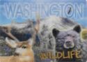 Washington. Wildlife