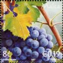 Grapes (Viris vinifera)