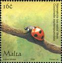 Seven-spotted Ladybird (Coccinella septempunctata)