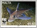 Rabbitfish (Chimaera monstrosa)