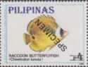 Raccoon Butterflyfish (Chaetodon lunula)