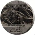 5 Cents (Meteorite Muonionalusta - Encrinus Liliiformis)