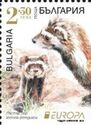 Marbled Polecat (Vormela peregusna)