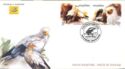 Egyptian vulture