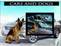 Cars and Dogs