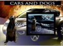 Cars and Dogs